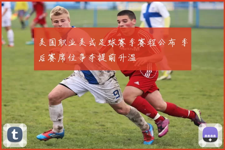 美国职业美式足球赛季赛程公布 季后赛席位争夺提前升温