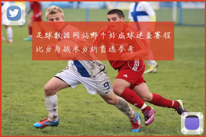 足球数据网站哪个好成球迷查赛程比分与战术分析首选参考