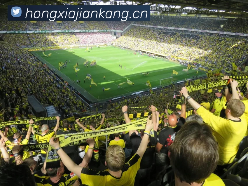 App Interface Preview