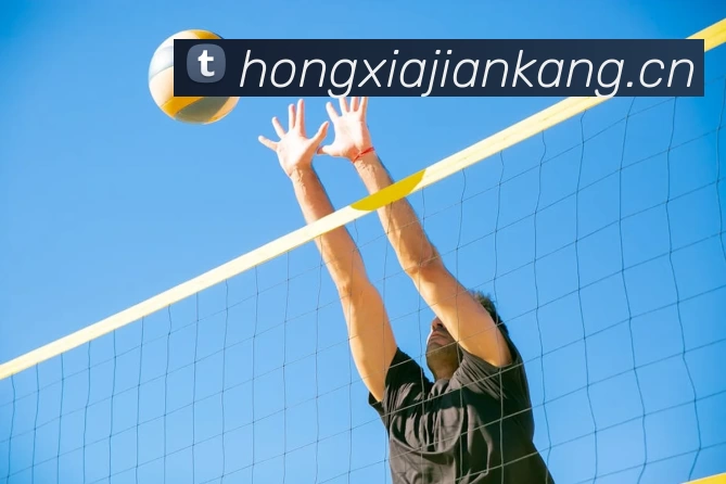 ayx爱游戏(中国)官方网站 - 登录入口APP 封面图